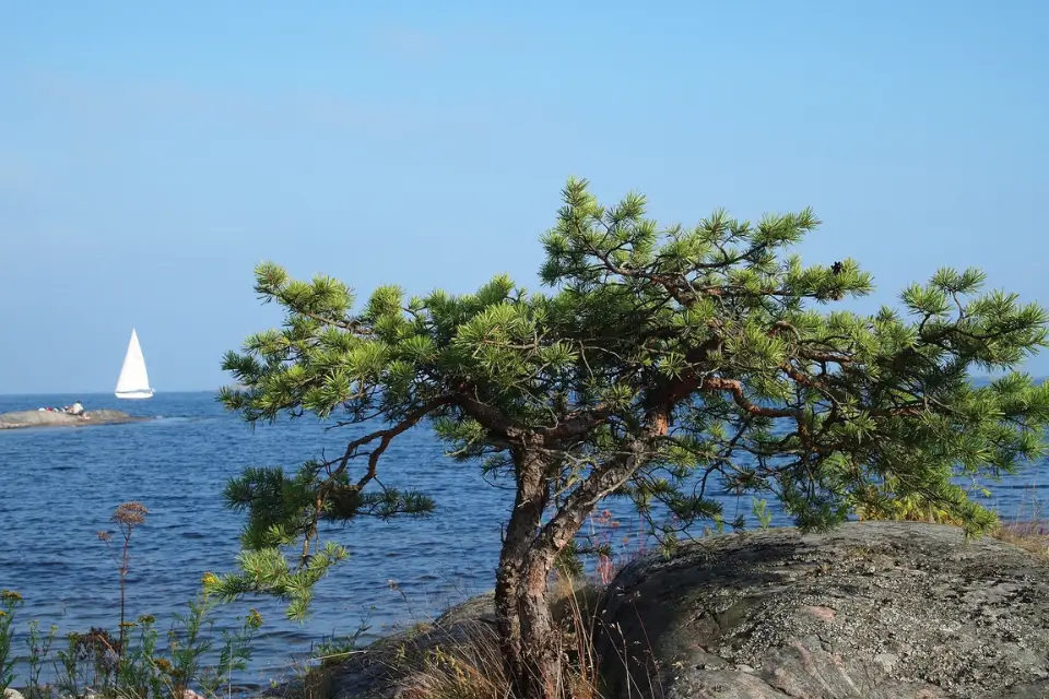 Crociere a vela in catamarano. Navigando tra le Isole Eolie. Crociere di Lusso in catamarano da Napoli con skipper e servizio hostess